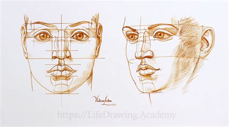 how to sketch a realistic face and why understanding anatomy is crucial for artists